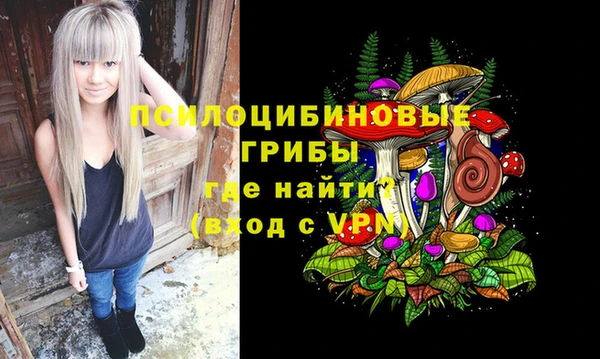 сатива Кукмор