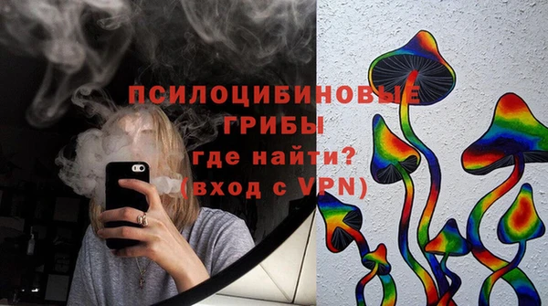 сатива Кукмор